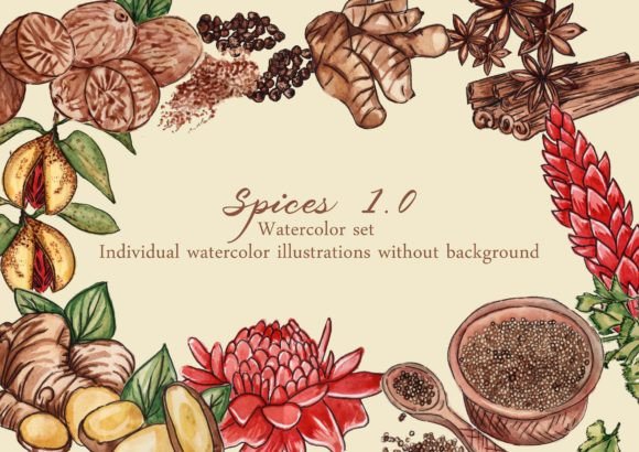 Spices Watercolor Set 1.0: A Versatile Tool for Creative Professionals
